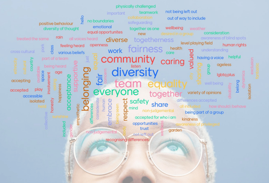Reflections on our inclusion webinar